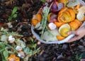Can You Compost Citrus Peels