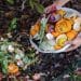 Can You Compost Citrus Peels