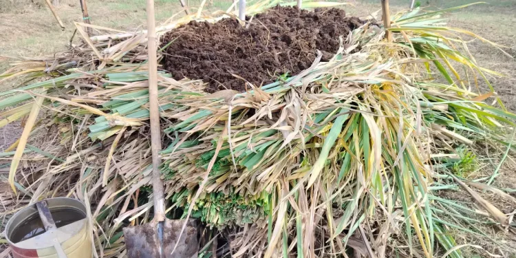 The Ultimate Compost Troubleshooting Guide