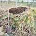 The Ultimate Compost Troubleshooting Guide